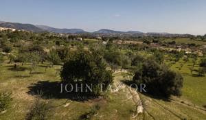 Verkauf Bauland Moscari