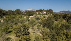 Verkauf Bauland Moscari