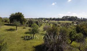 Verkauf Bauland Moscari