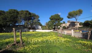 Verkauf Bauland Palmanova