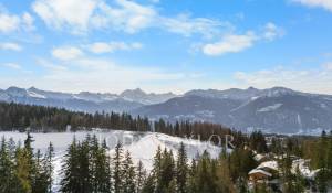 Verkauf Chalet Crans-Montana
