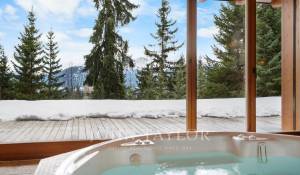 Verkauf Chalet Crans-Montana