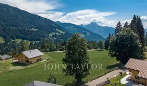 Verkauf Chalet Gryon