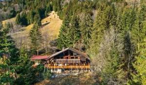 Verkauf Chalet Morgins
