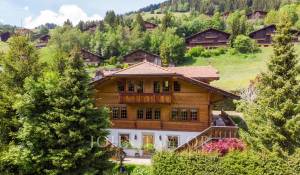 Verkauf Chalet Rougemont