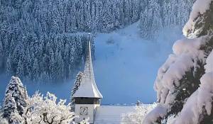 Verkauf Chalet Rougemont