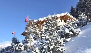 Verkauf Chalet Saanen