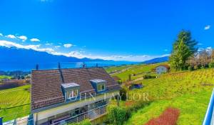 Verkauf Doppelhaushälfte Blonay-Saint-Légier