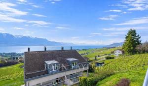 Verkauf Doppelhaushälfte Blonay-Saint-Légier