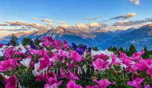 Verkauf Duplex Crans-Montana