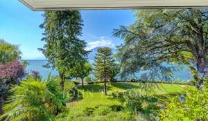 Verkauf Duplex La Tour-de-Peilz