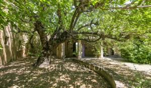 Verkauf Eigentum Bonnieux