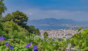 Verkauf Eigentum Cannes