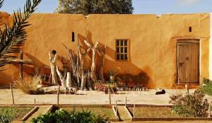 Verkauf Eigentum Essaouira