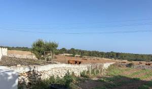 Verkauf Eigentum Ferreries