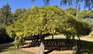 Verkauf Eigentum La Cadière-d'Azur