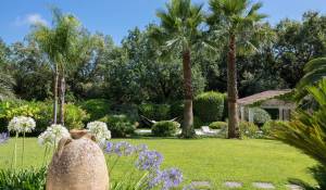 Verkauf Eigentum La Colle-sur-Loup