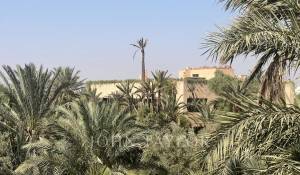 Verkauf Eigentum Marrakech