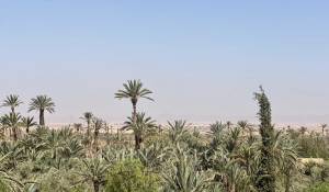 Verkauf Eigentum Marrakech