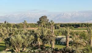 Verkauf Eigentum Marrakech