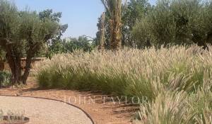 Verkauf Eigentum Marrakech