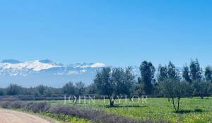 Verkauf Eigentum Marrakech