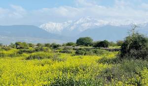 Verkauf Eigentum Marrakech