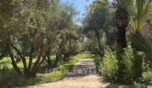 Verkauf Eigentum Marrakech