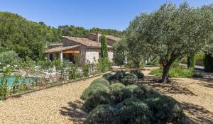 Verkauf Eigentum Ménerbes