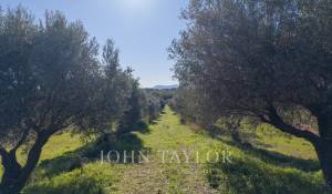 Verkauf Eigentum Ollioules