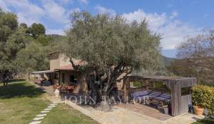 Verkauf Eigentum Sanary-sur-Mer