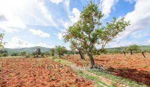 Verkauf Eigentum Santa Eularia des Riu