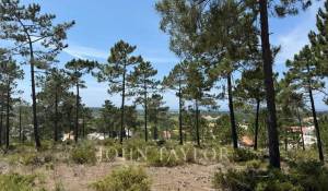 Verkauf Grundstück Carvalhal