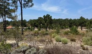 Verkauf Grundstück Carvalhal