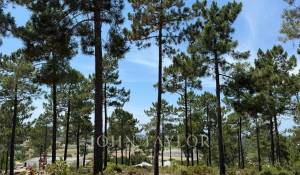 Verkauf Grundstück Carvalhal