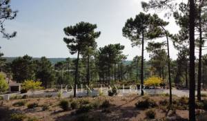 Verkauf Grundstück Carvalhal