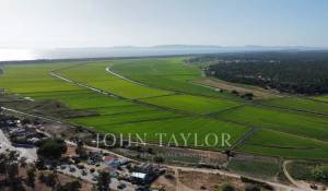 Verkauf Grundstück Carvalhal