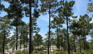 Verkauf Grundstück Carvalhal