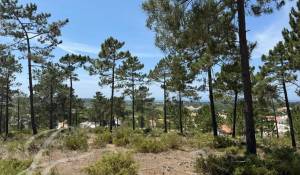 Verkauf Grundstück Carvalhal