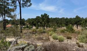 Verkauf Grundstück Carvalhal