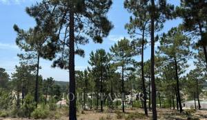 Verkauf Grundstück Carvalhal