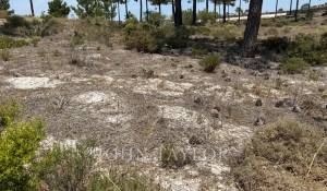 Verkauf Grundstück Carvalhal