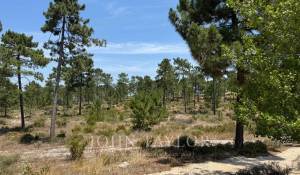 Verkauf Grundstück Carvalhal