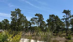 Verkauf Grundstück Carvalhal