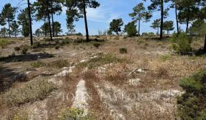 Verkauf Grundstück Carvalhal