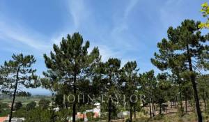 Verkauf Grundstück Carvalhal