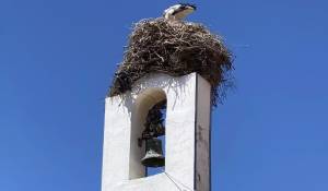 Verkauf Grundstück Carvalhal