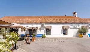 Verkauf Grundstück Carvalhal