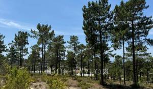 Verkauf Grundstück Carvalhal