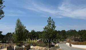 Verkauf Grundstück Carvalhal